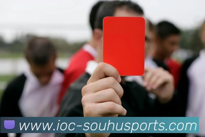 搜狐体育平台生态图